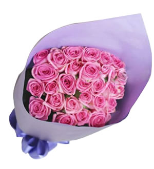 玫瑰话语 （已下架）-28枝紫粉玫瑰