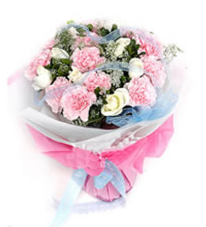 漂亮妈妈 （已下架）-粉色康乃馨12枝，白色玫瑰9枝