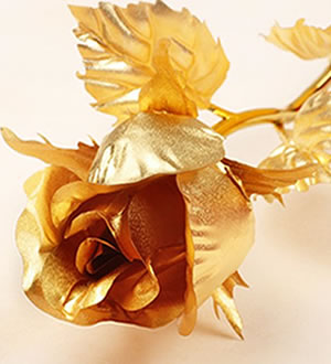 情比金坚 （已下架）-24K 纯金箔金色玫瑰 - 半开型