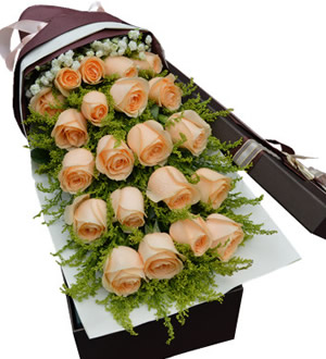 温馨的祝福-21枝香槟玫瑰花盒