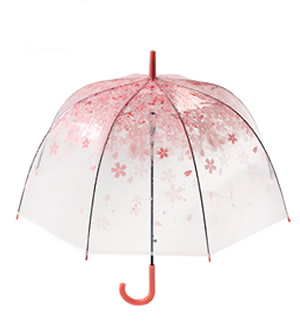 樱花伞 （已下架）-唯美樱花透明长柄伞