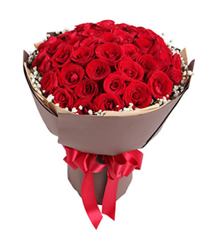 热恋-红玫瑰50枝，满天星围绕一周