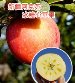 阿克苏冰糖心苹果 - 净重八斤；产地直供 精选大果