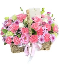 妈妈 生日快乐 - 粉色康乃馨 洋桔梗 小翠菊