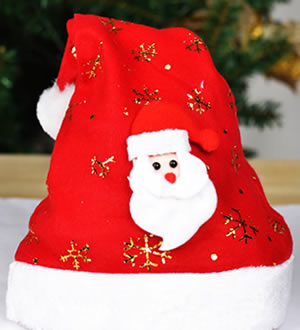 加厚绒布圣诞帽 （已下架）-圣诞节赠品（共1000份，送完为止）
