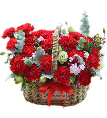 温暖的母爱-红色康乃馨花篮