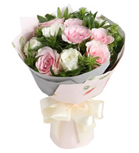 爱丽丝梦境 - 粉佳人粉玫瑰6枝，白玫瑰6枝