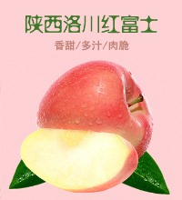 陕西洛川红富士 精品大果 - 脆甜多汁 现摘现发