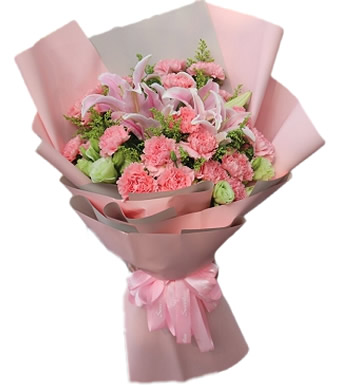 爱的守护-粉色康乃馨 粉色百合